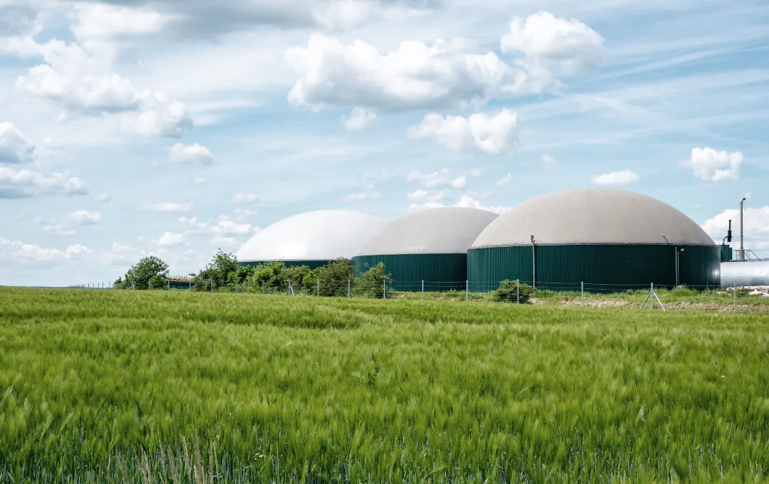 Biogas and anaerobic digestion